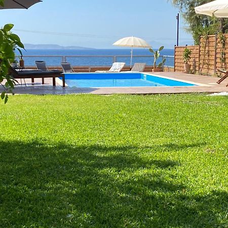 Seascape Luxury Villas Agia Marina  Exteriér fotografie