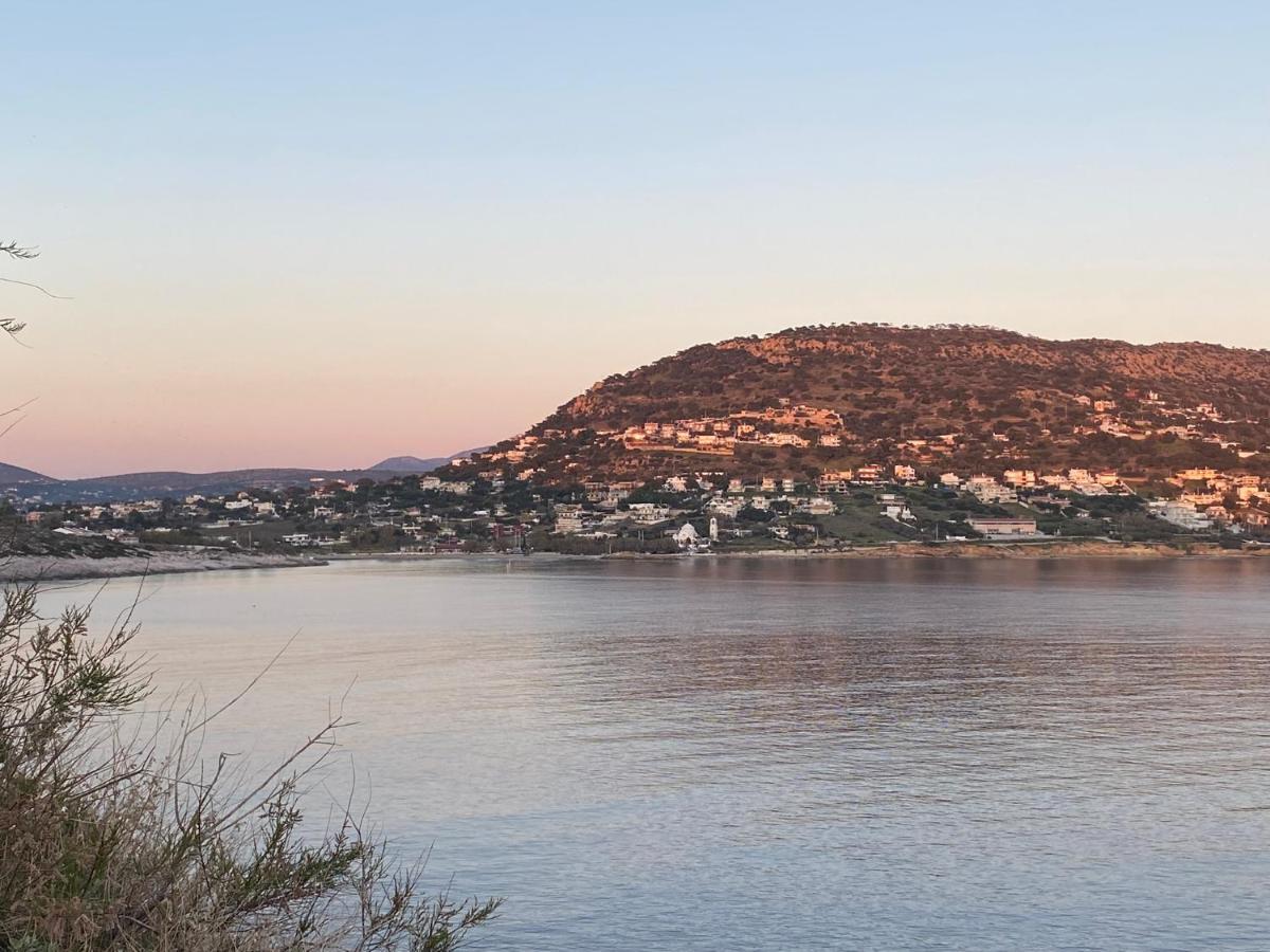 Seascape Luxury Villas Agia Marina  Exteriér fotografie